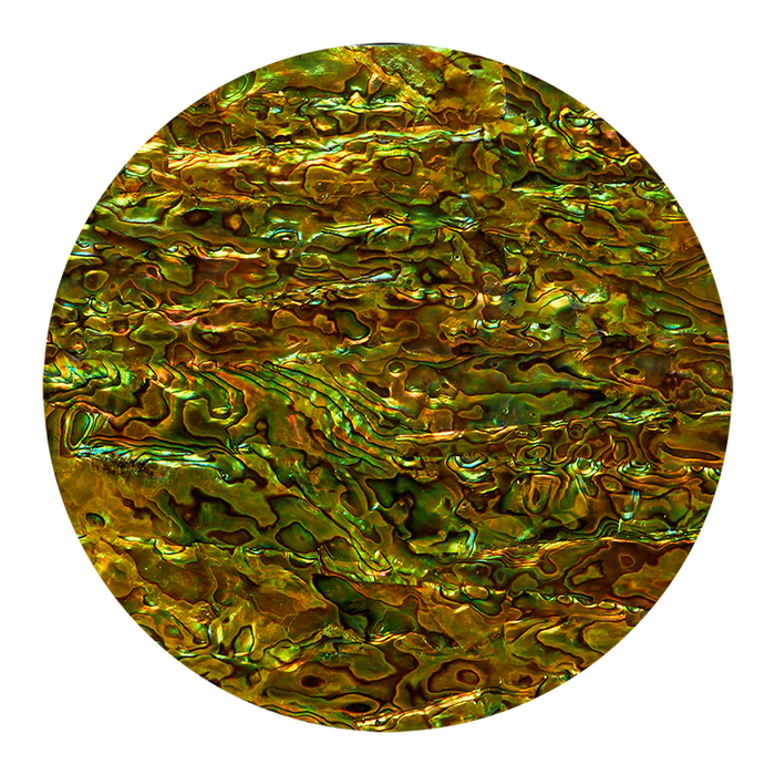 Abalone Paua Peridot Green Shell Veneer