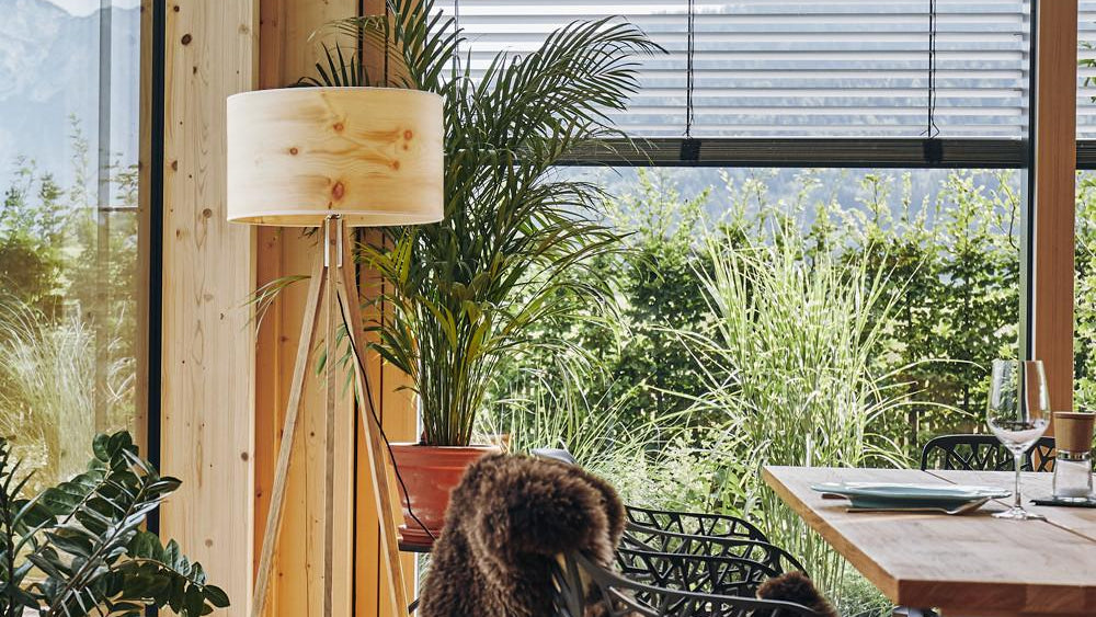 Biophilic design – bringing nature into our homes…