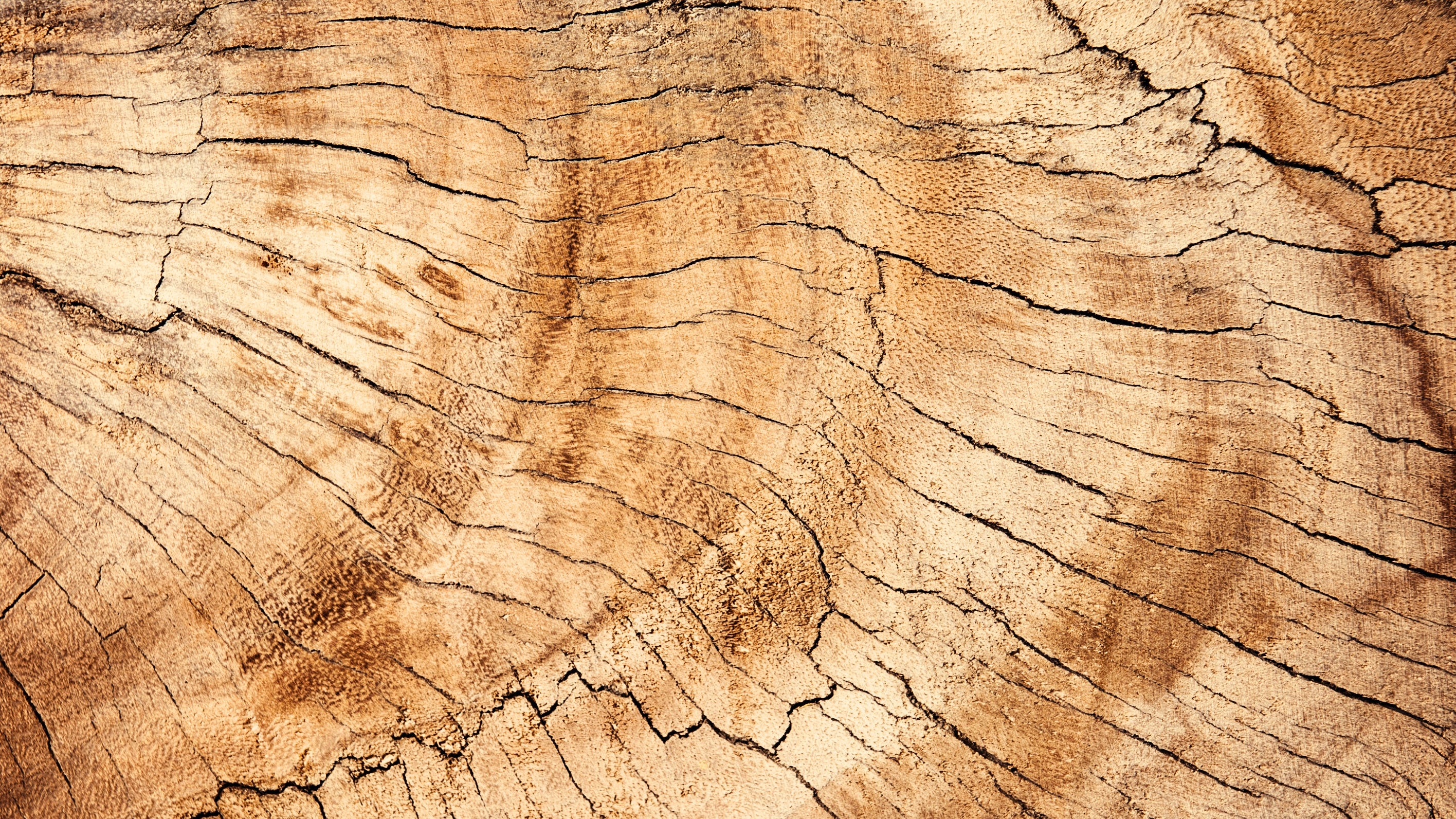 Wood Veneer Grades