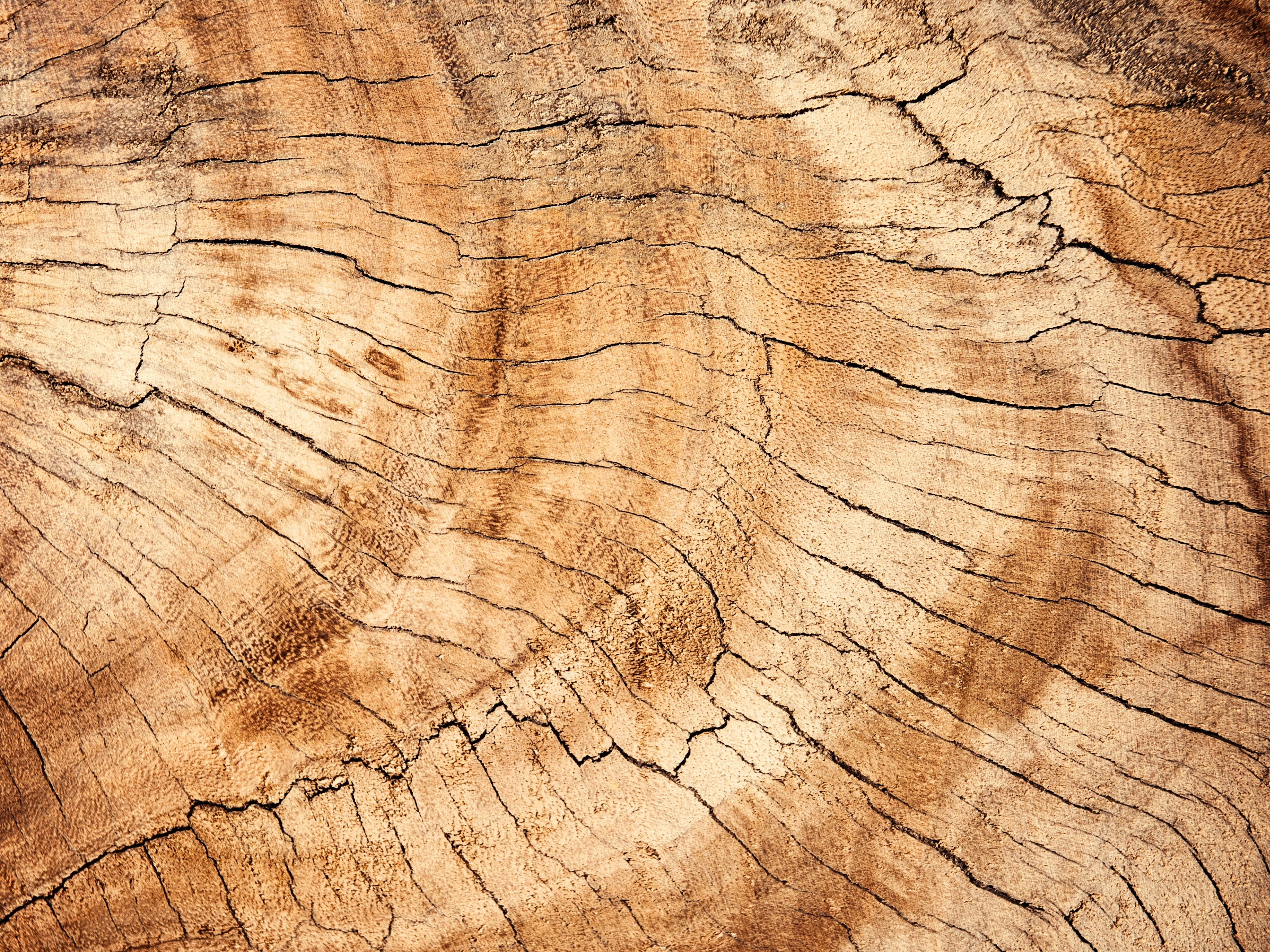 Wood Veneer Grades
