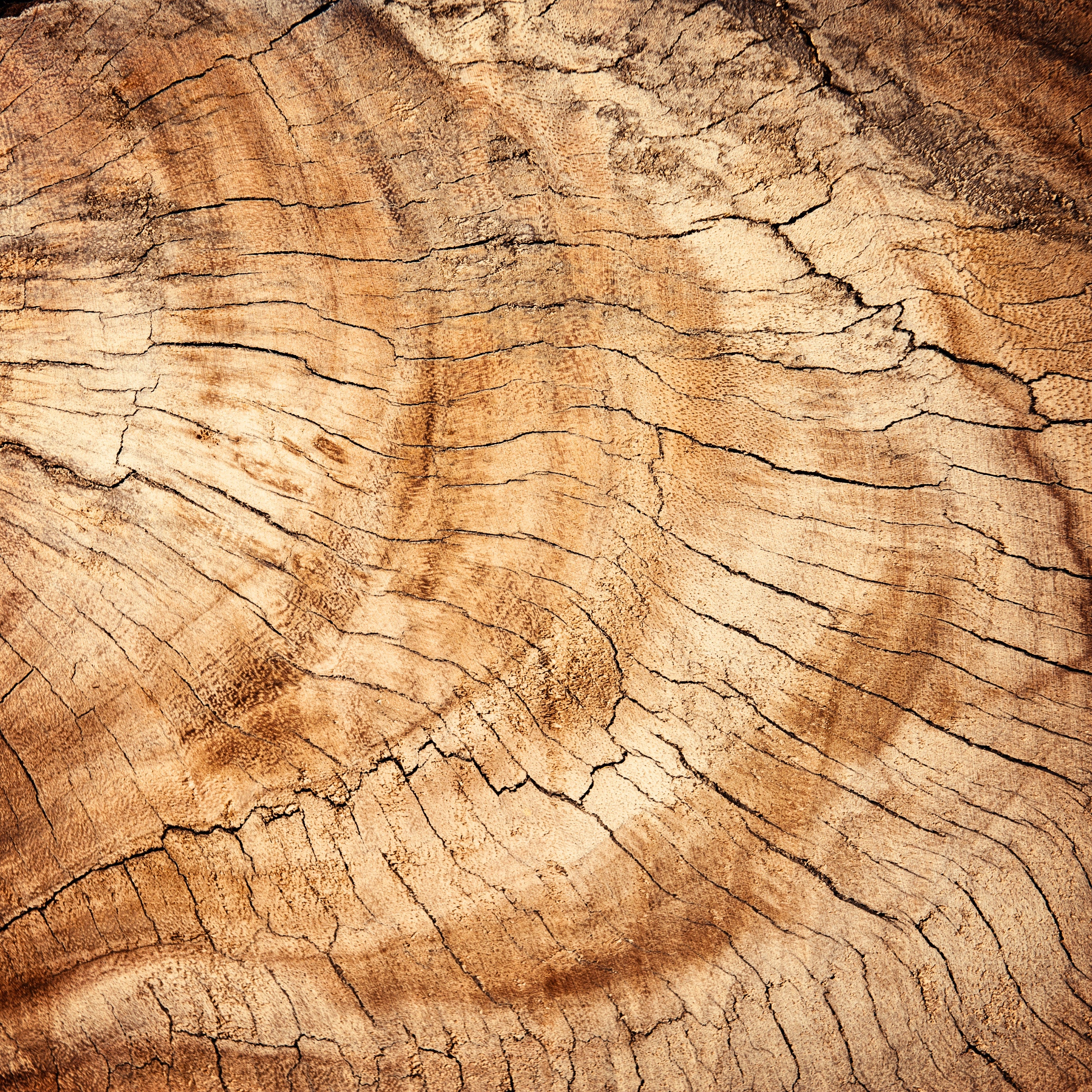 Wood Veneer Grades