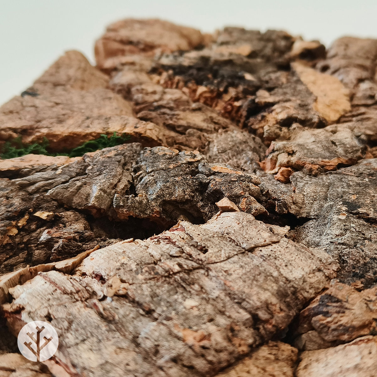 Muratto® Luxury Cork Wall Panel Sample Boxes