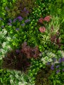 Green Envee | Nice | Artificial Green Wall Panel