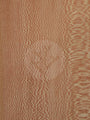 London Plane Tree Wood Veneer
