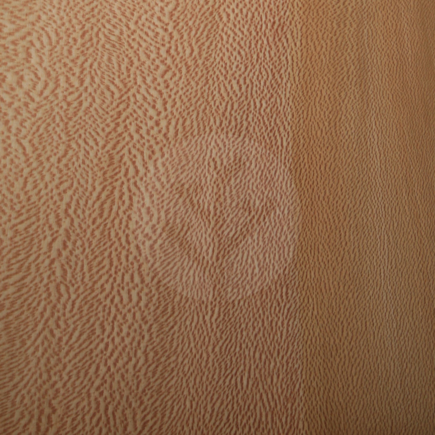 London Plane Tree Wood Veneer
