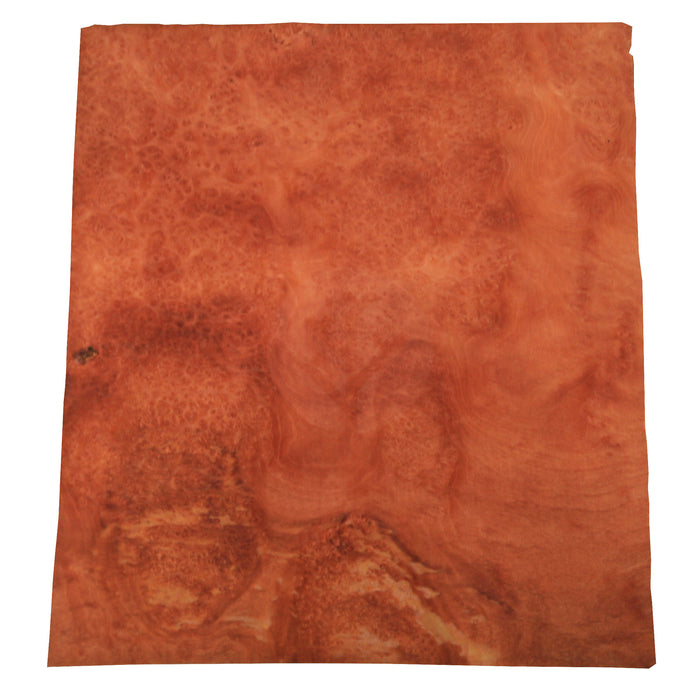 London Plane Tree Burl Wood Veneer