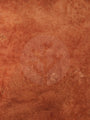 London Plane Tree Burl Wood Veneer