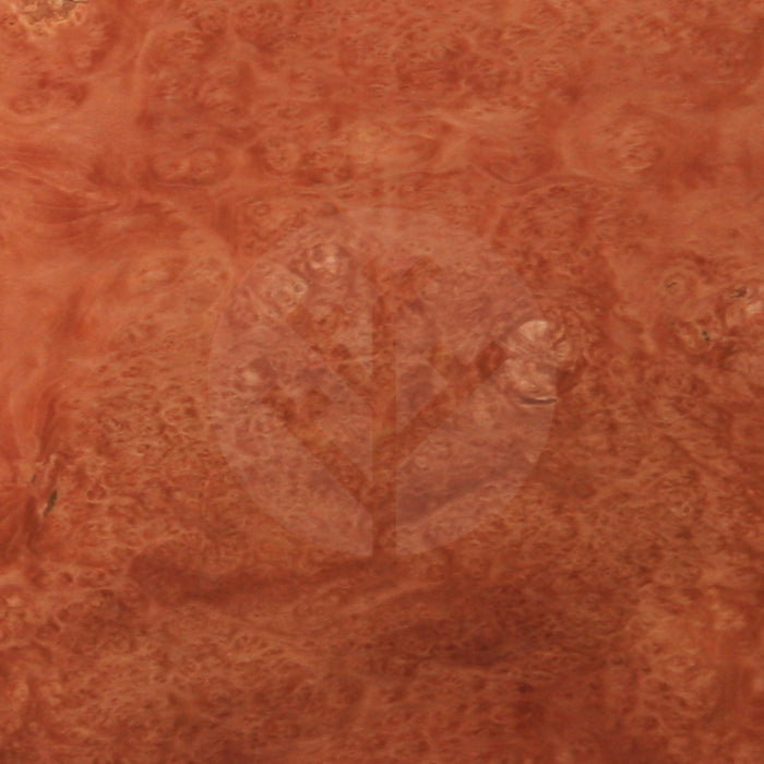 London Plane Tree Burl Wood Veneer