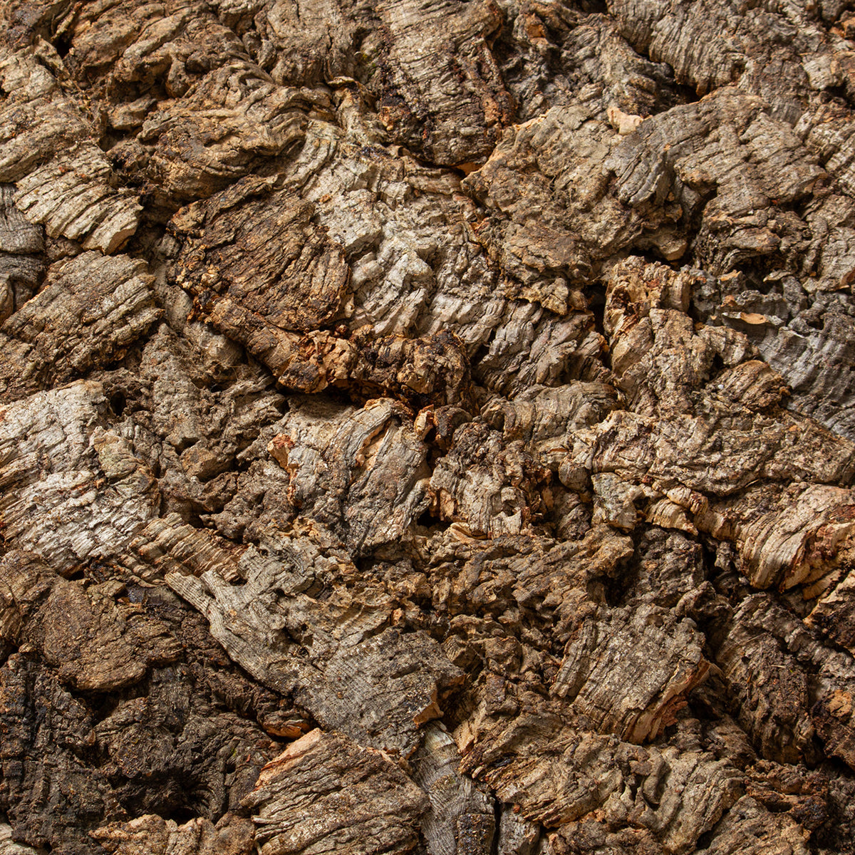 Muratto® Cork Bark Virgin Tree Wall Panels
