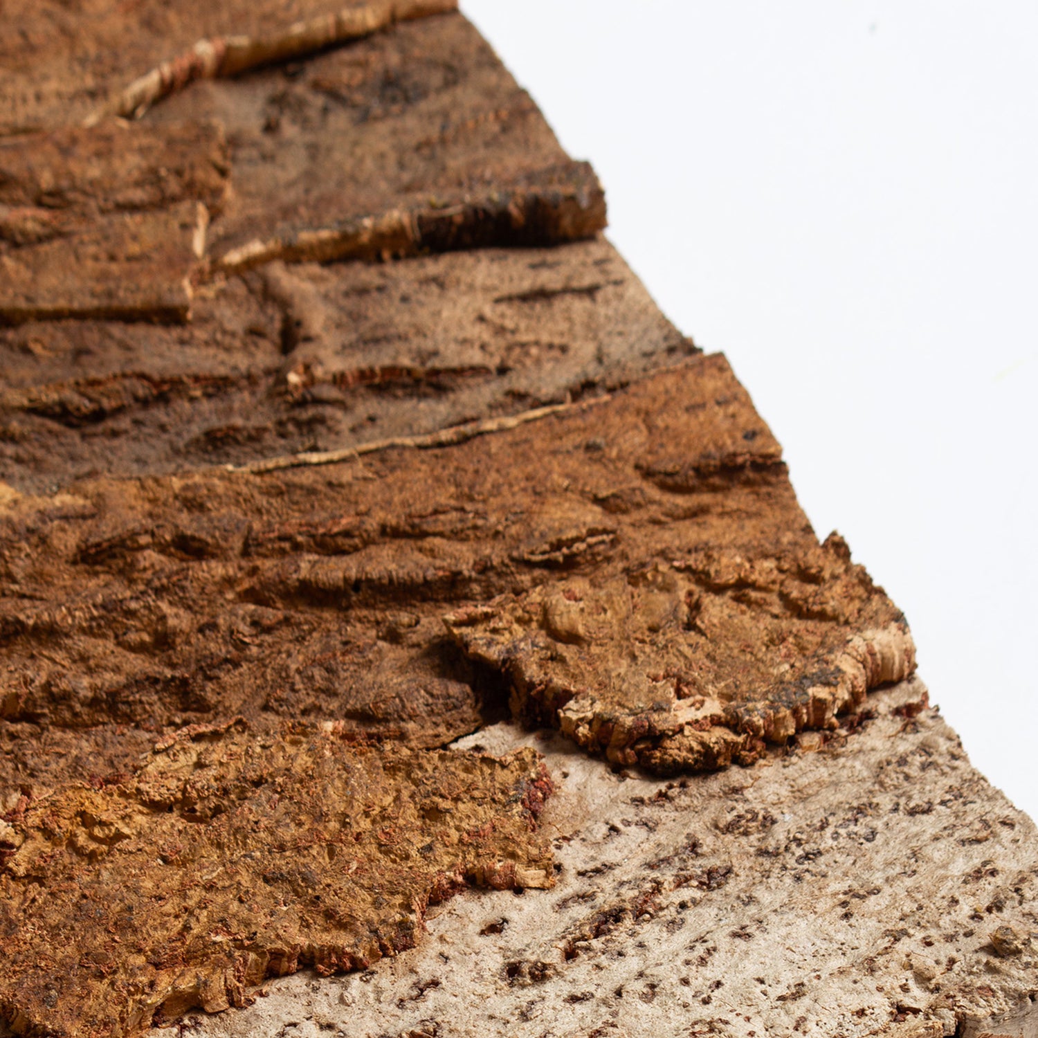 Muratto® Cork Bark Skin Tree Wall Panels