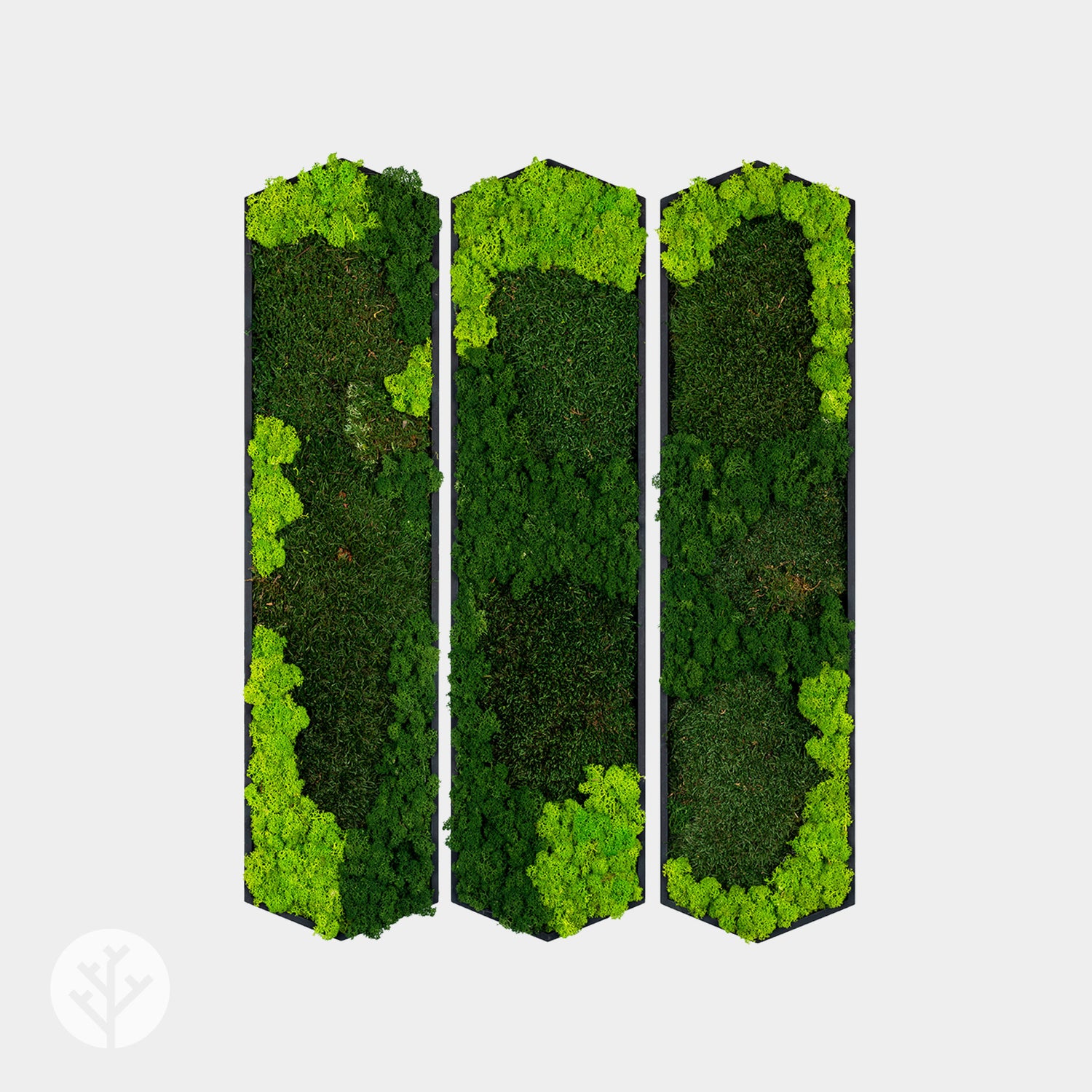 Muratto® Green Hexad Preserved Moss Luxury Wall Tiles