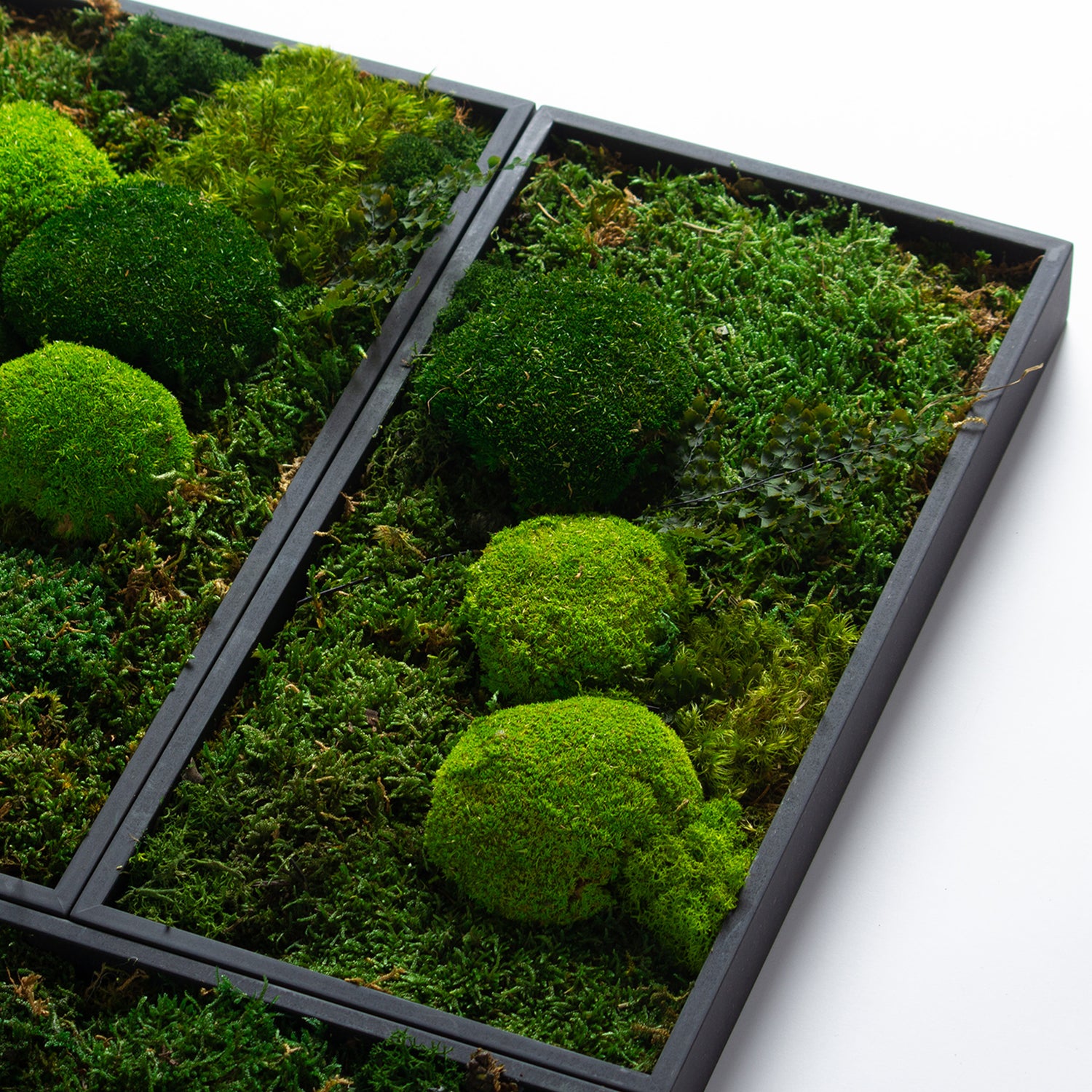 Muratto® Green Modular Square Preserved Moss Luxury Wall Tiles