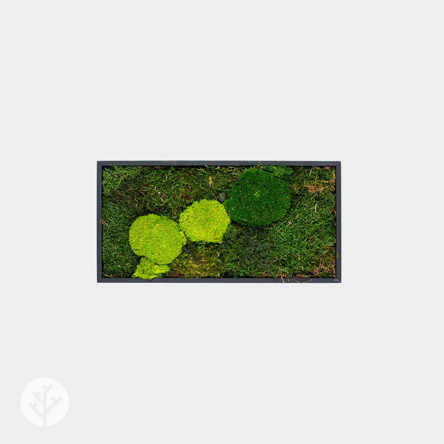 Muratto® Green Modular Square Preserved Moss Luxury Wall Tiles