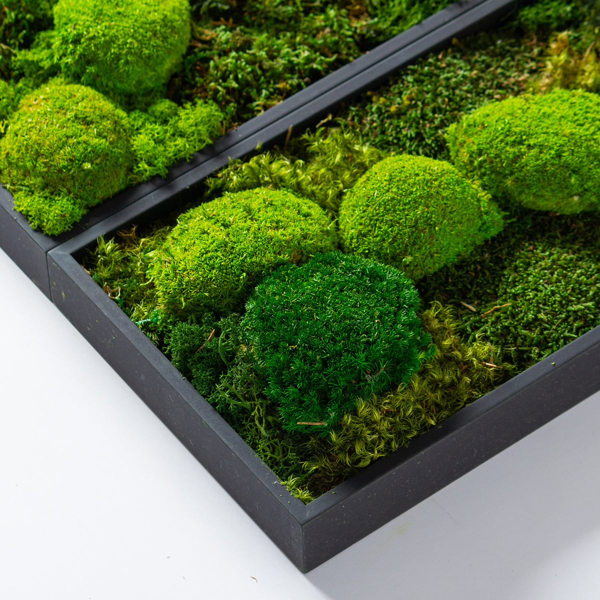 Muratto® Green Modular Square Preserved Moss Luxury Wall Tiles