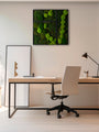 Muratto® Green Modular Square Preserved Moss Luxury Wall Tiles