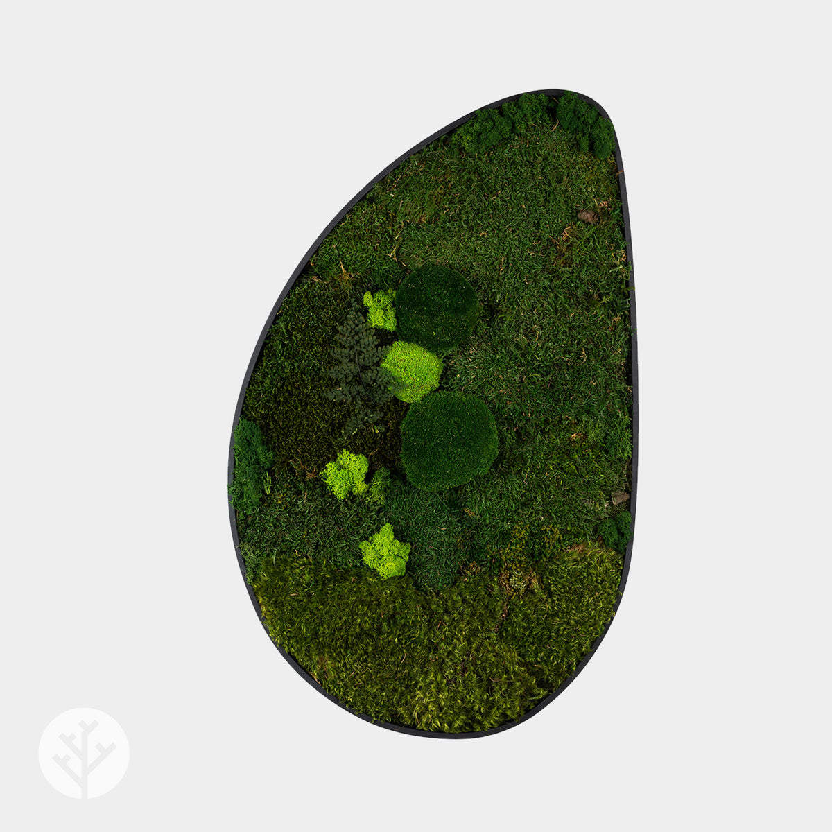 Muratto® Green Ovate Preserved Moss Luxury Wall Tiles