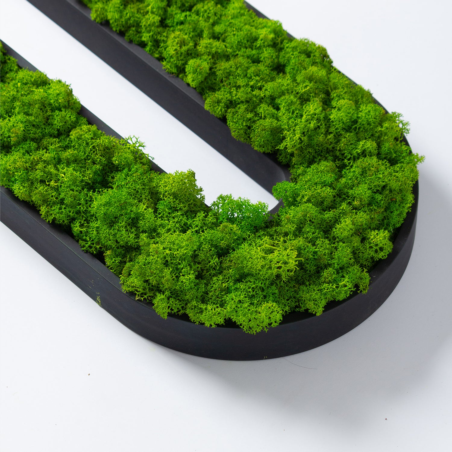 Muratto® Green Overlong Preserved Moss Luxury Wall Tiles