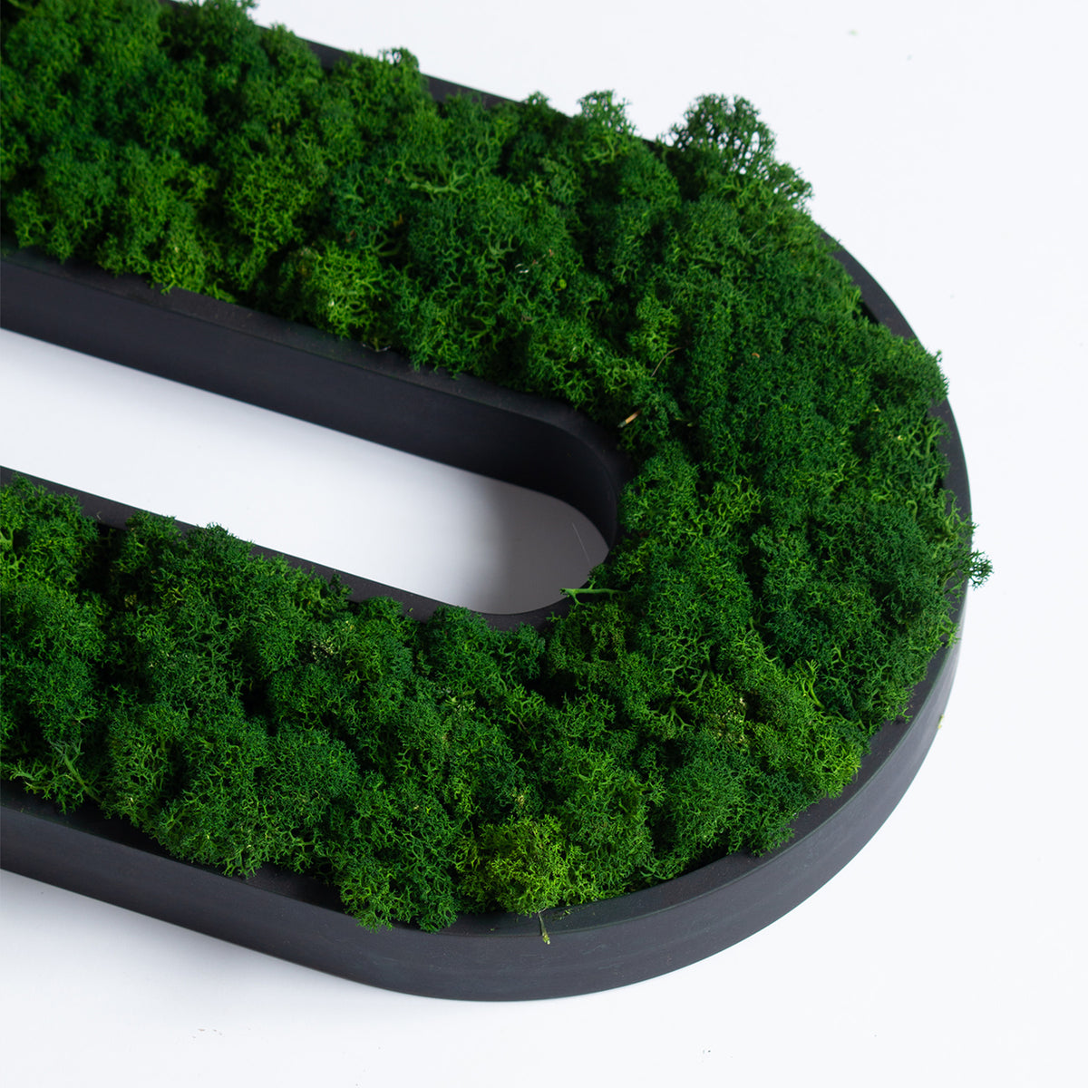 Muratto® Green Overlong Preserved Moss Luxury Wall Tiles