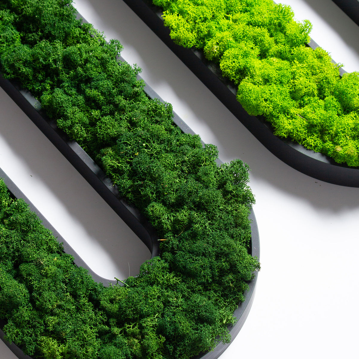 Muratto® Green Overlong Preserved Moss Luxury Wall Tiles