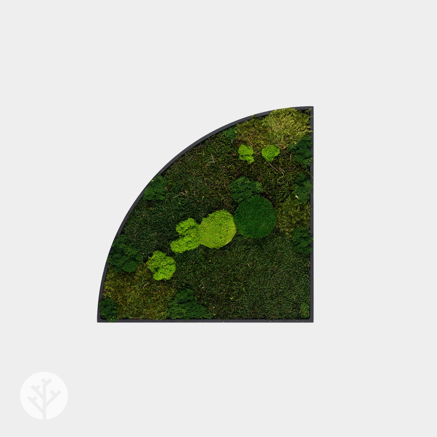 Muratto® Green Quadrant Preserved Moss Luxury Wall Tiles