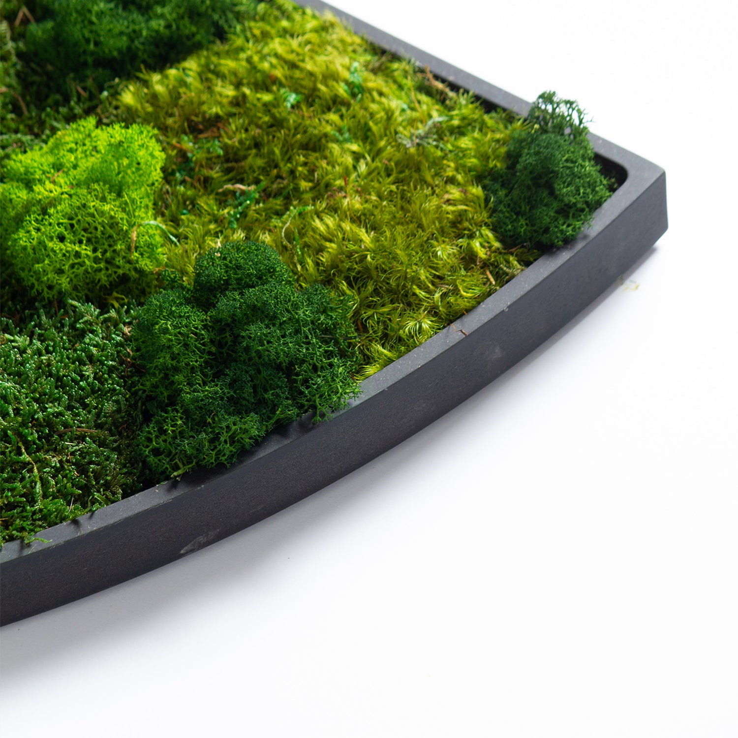 Muratto® Green Teardrop Preserved Moss Luxury Wall Tiles