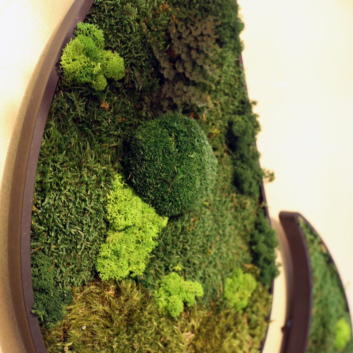 Muratto® Green Teardrop Preserved Moss Luxury Wall Tiles