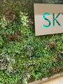 Green Envee | Monaco | Artificial Green Wall Panel