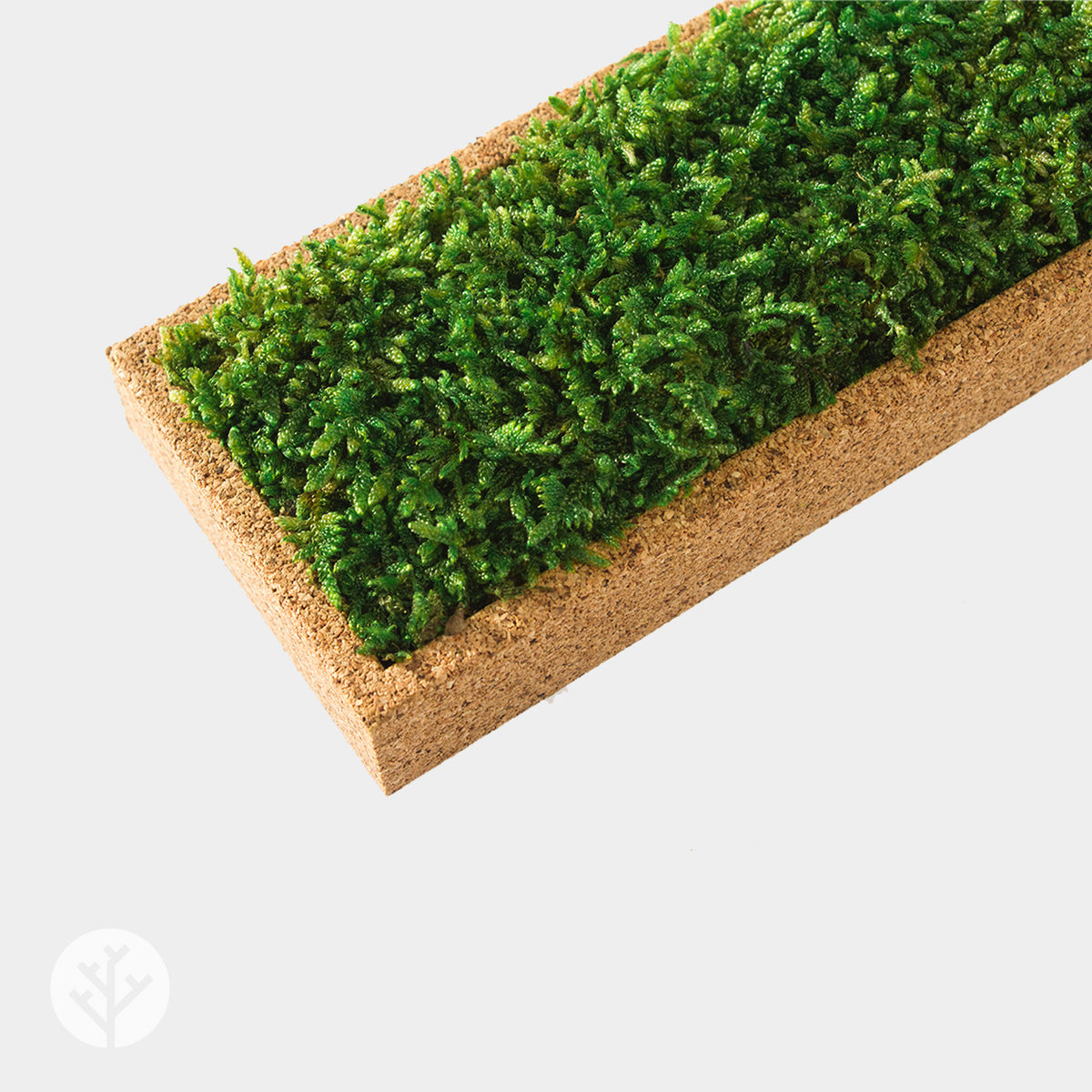 Muratto® Organic Rectangular Moss Cork Luxury Wall Tiles