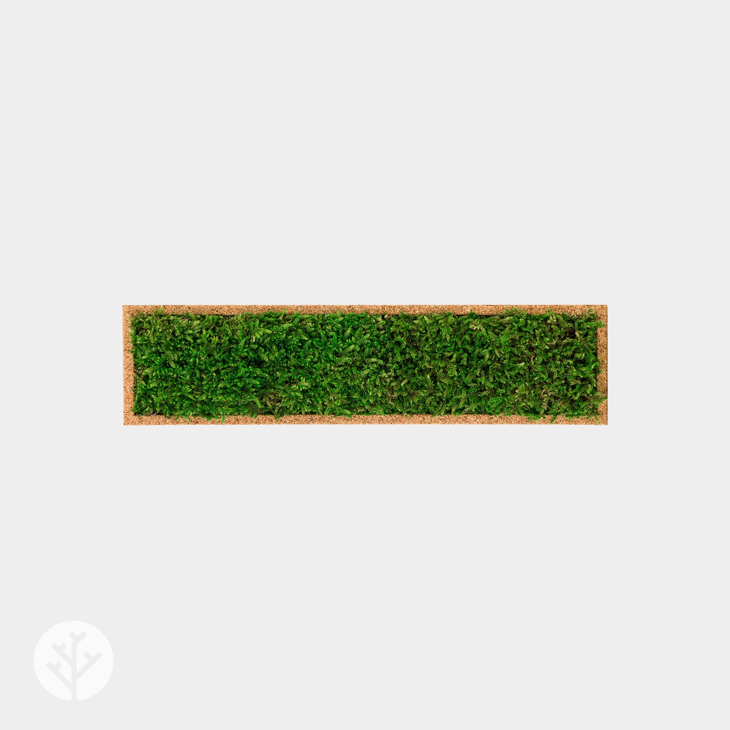 Muratto® Organic Rectangular Moss Cork Luxury Wall Tiles