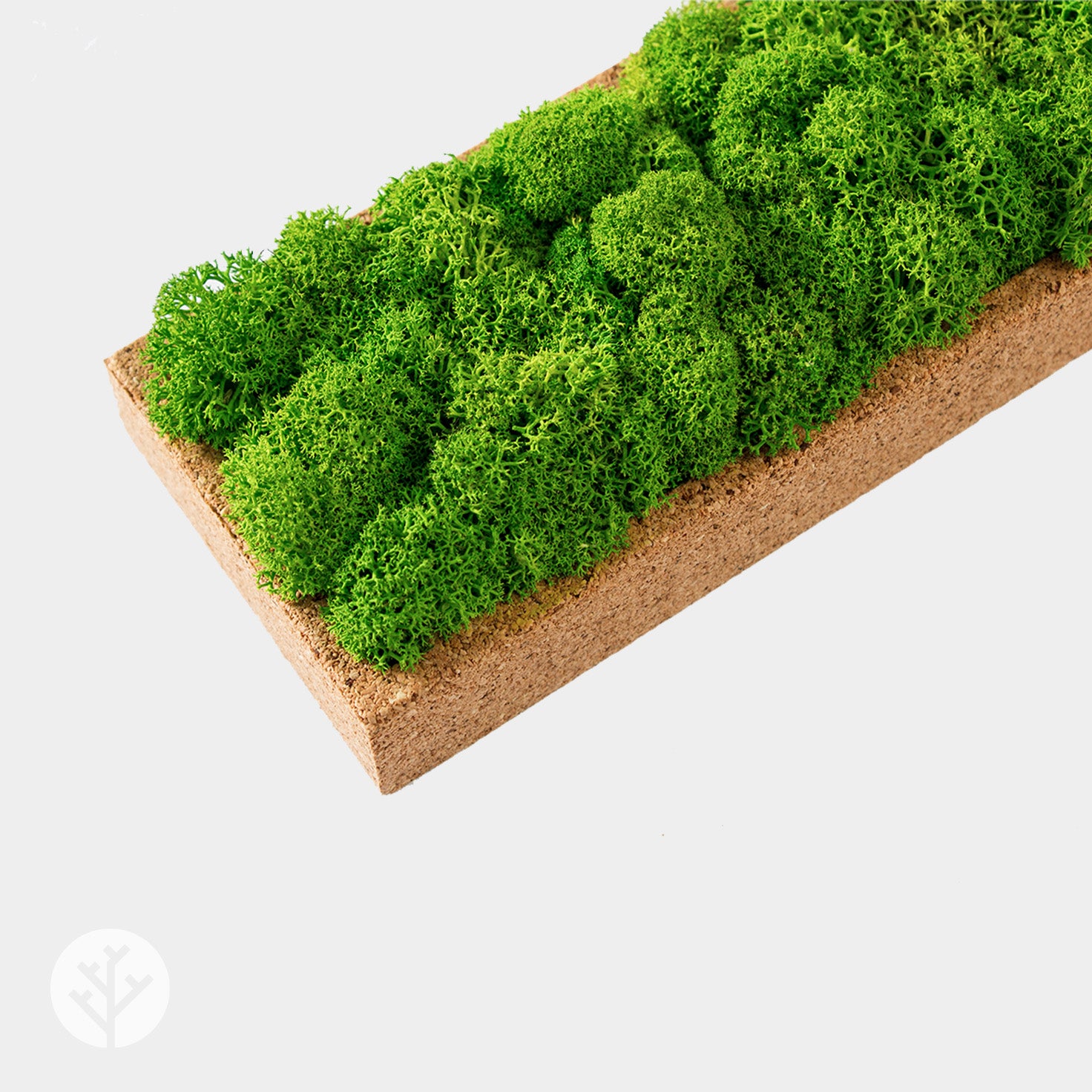 Muratto® Organic Rectangular Moss Cork Luxury Wall Tiles