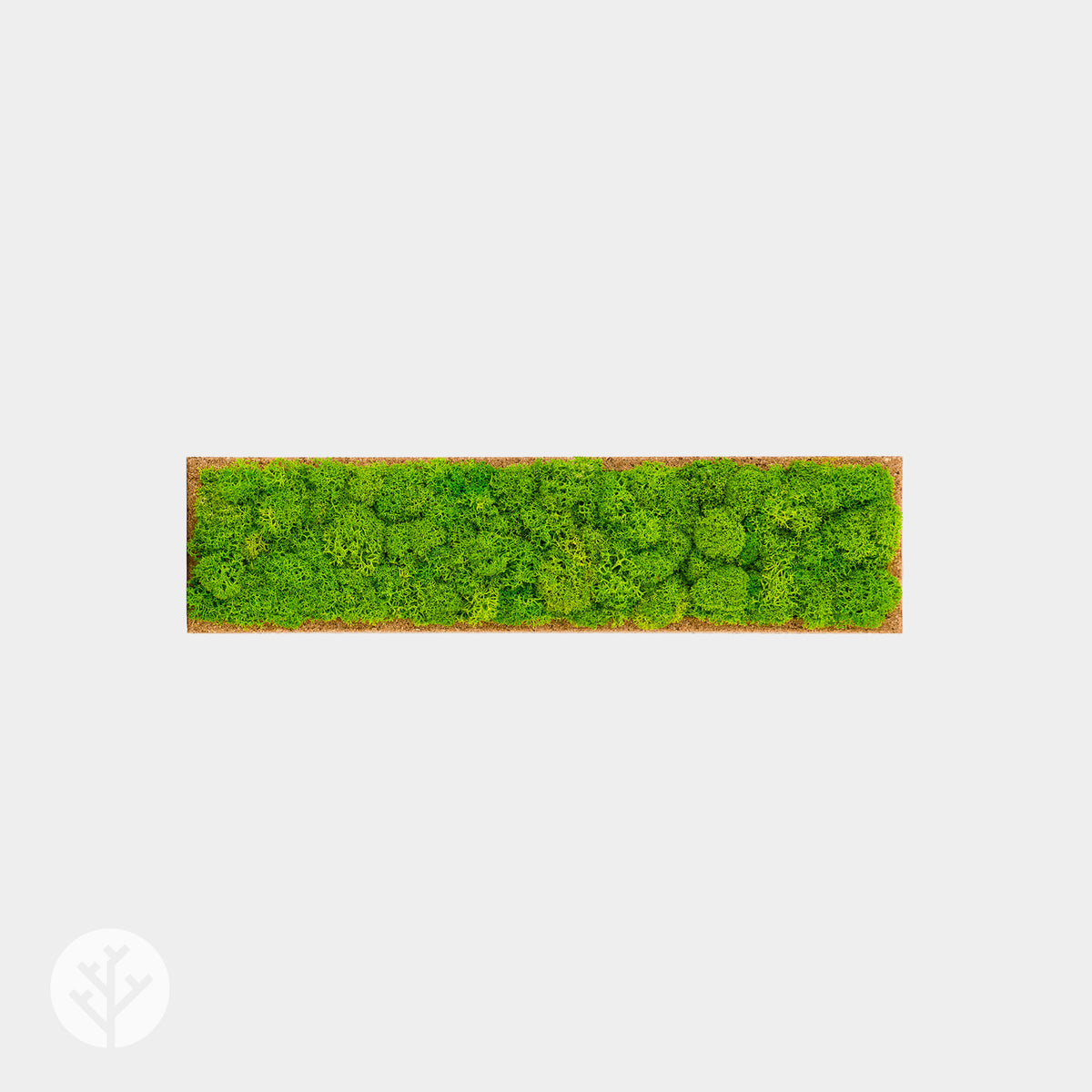 Muratto® Organic Rectangular Moss Cork Luxury Wall Tiles