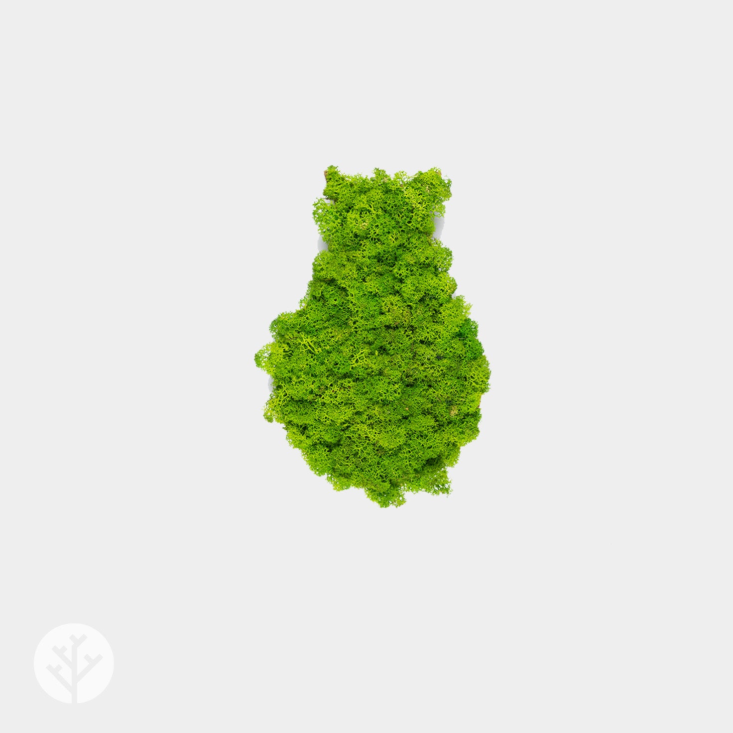 Muratto® Organic Drop Moss Cork Luxury Wall Tiles
