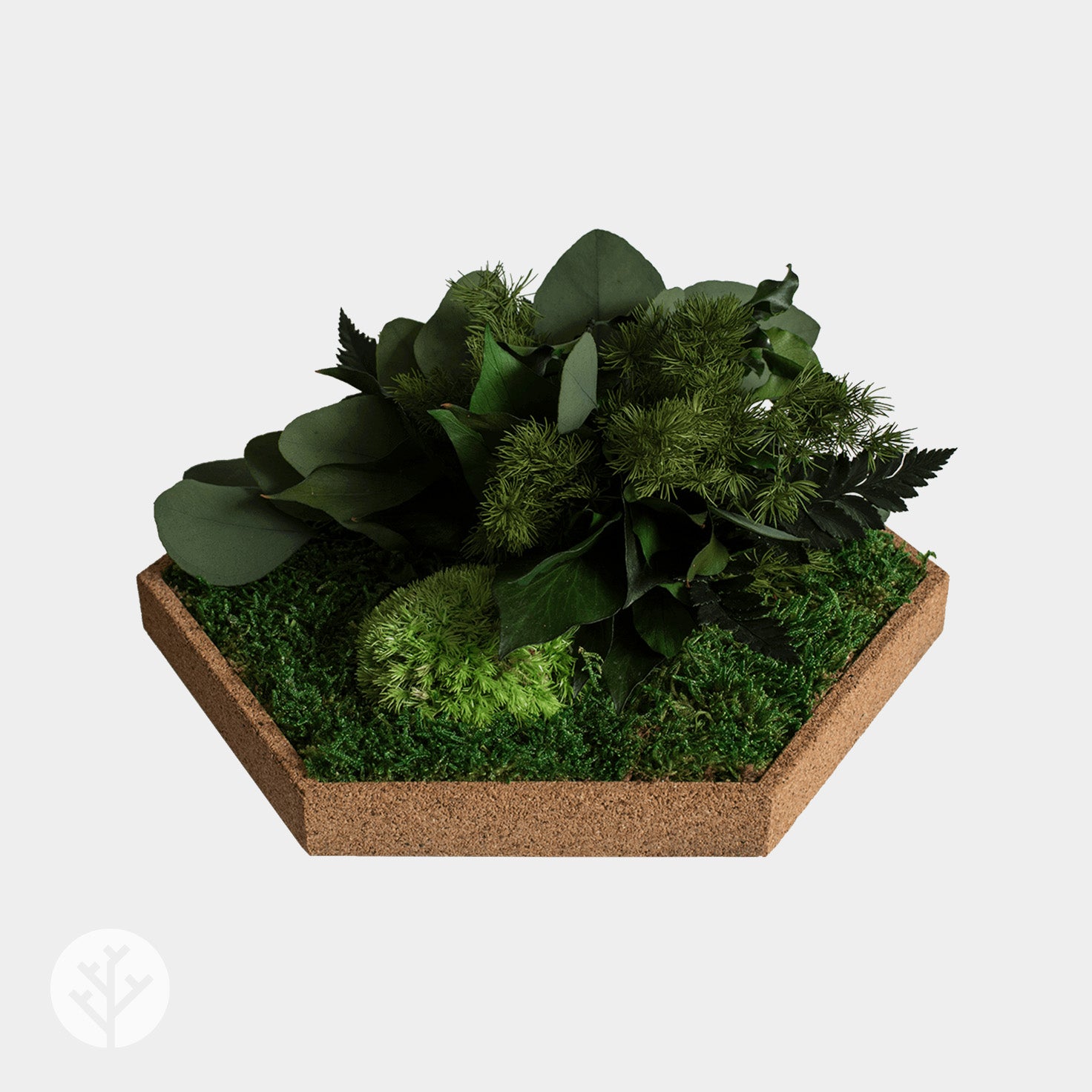 Muratto® Organic Hexagonal Moss Trays Cork Luxury Wall Tiles