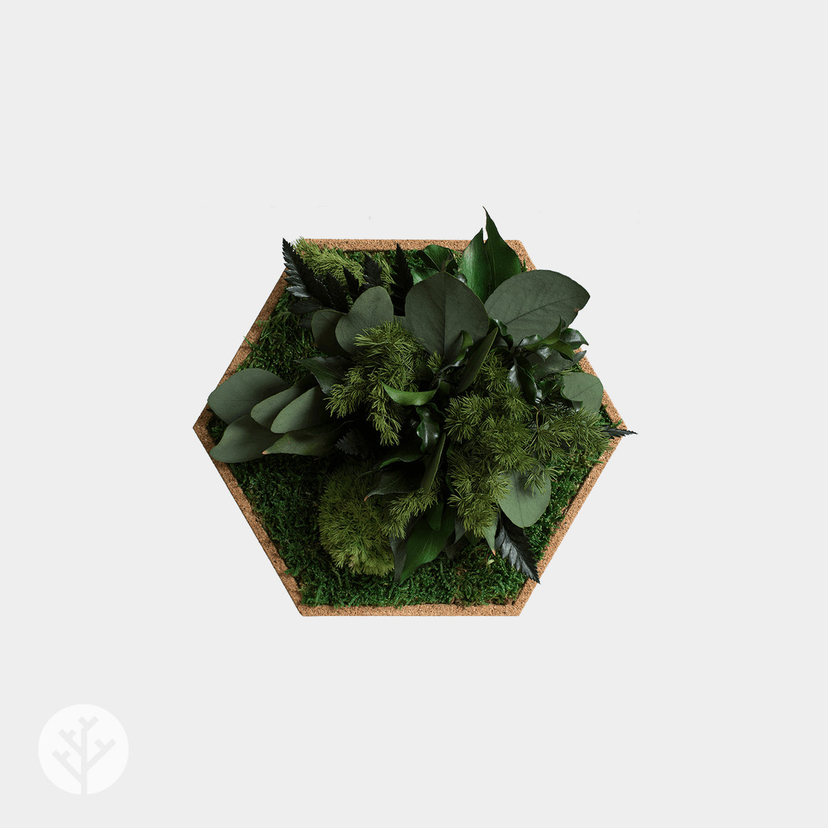 Muratto® Organic Hexagonal Moss Trays Cork Luxury Wall Tiles
