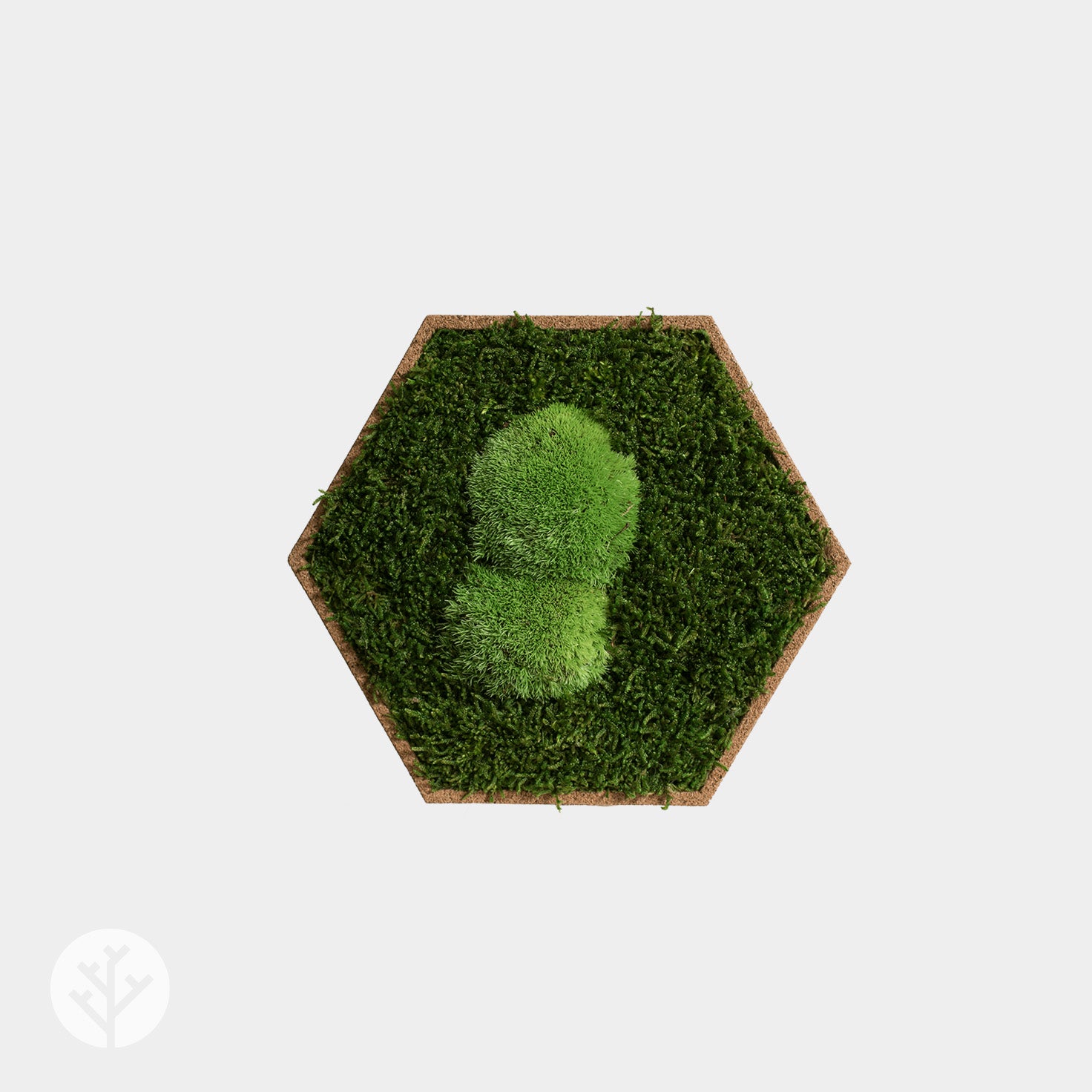 Muratto® Organic Hexagonal Moss Trays Cork Luxury Wall Tiles