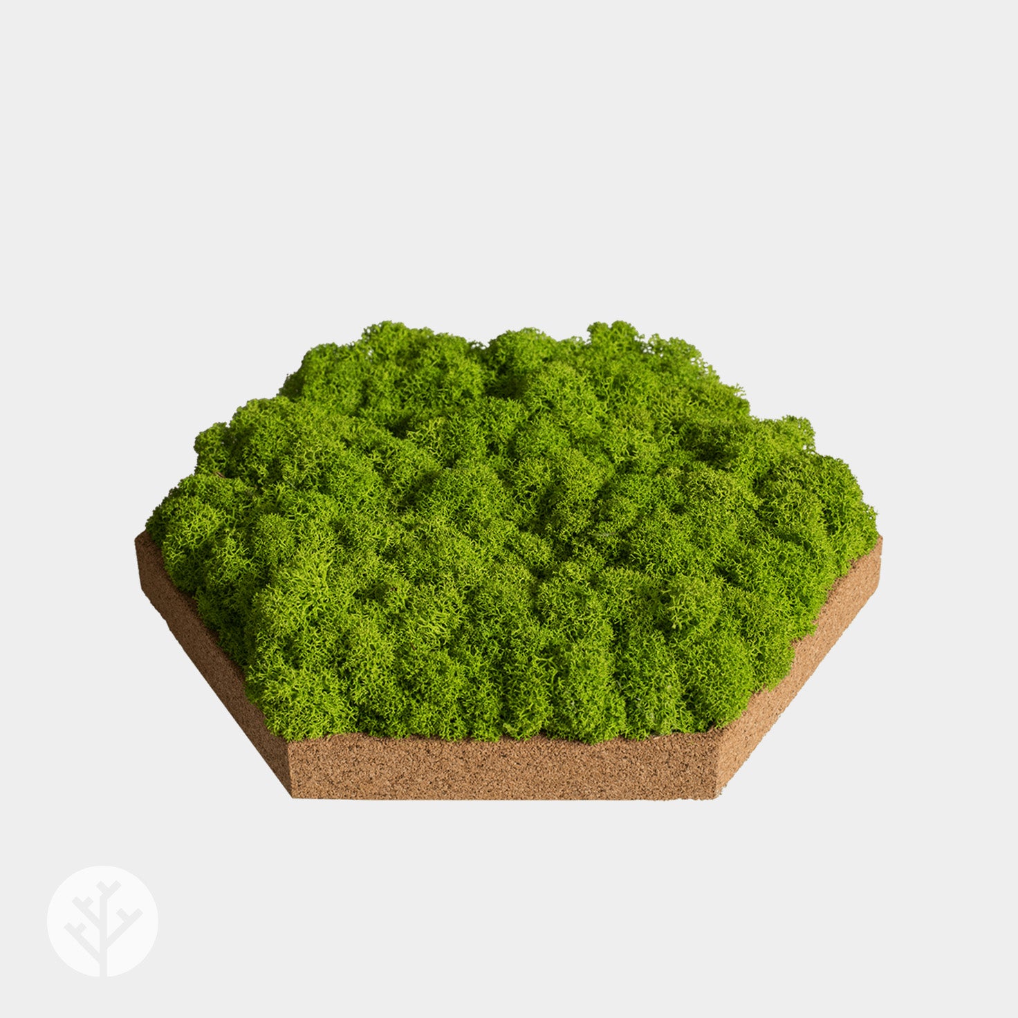Muratto® Organic Hexagonal Moss Trays Cork Luxury Wall Tiles