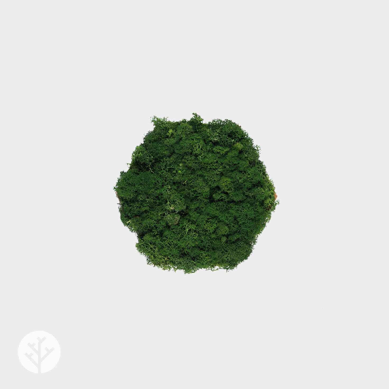 Muratto® Organic Hexagonal Moss Endless Cork Luxury Wall Tiles