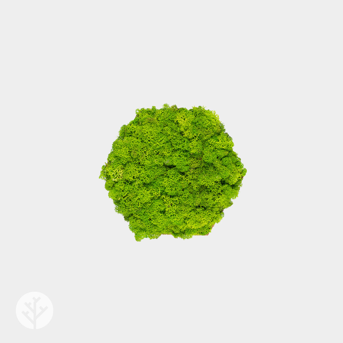 Muratto® Organic Hexagonal Moss Endless Cork Luxury Wall Tiles