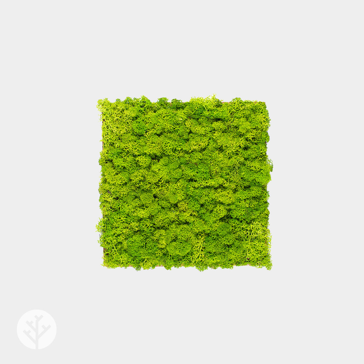 Muratto® Organic Square Moss Cork Luxury Wall Tiles