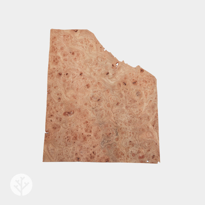 Elm Cluster Wood Veneer