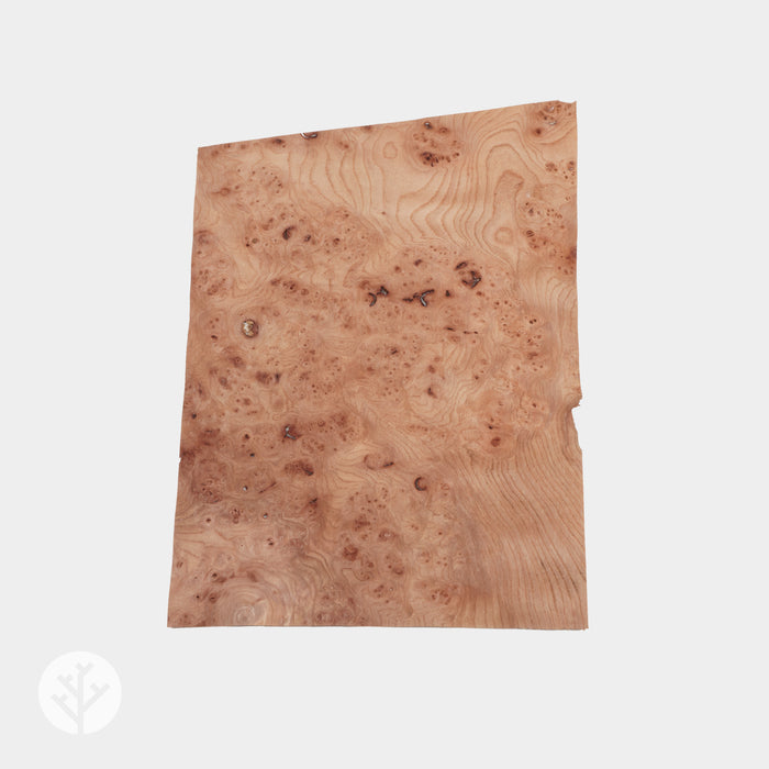 Elm Cluster Wood Veneer