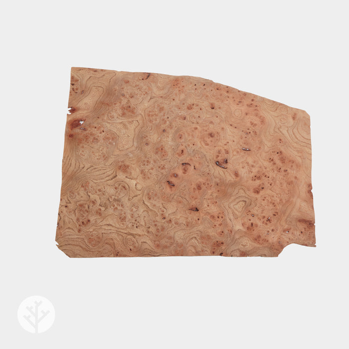 Elm Cluster Wood Veneer