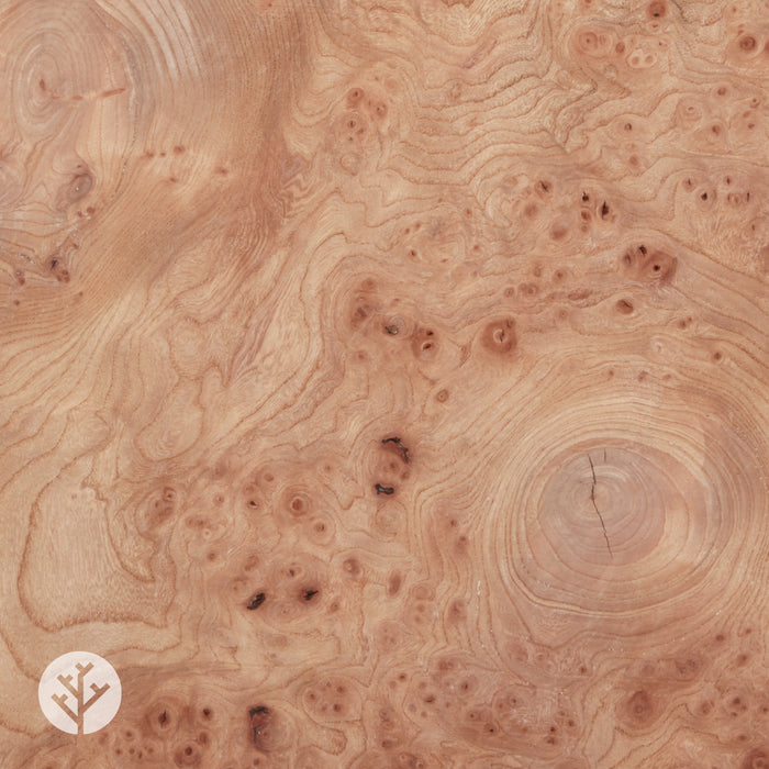 Elm Cluster Wood Veneer