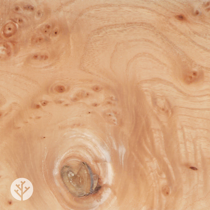 Elm Cluster Wood Veneer