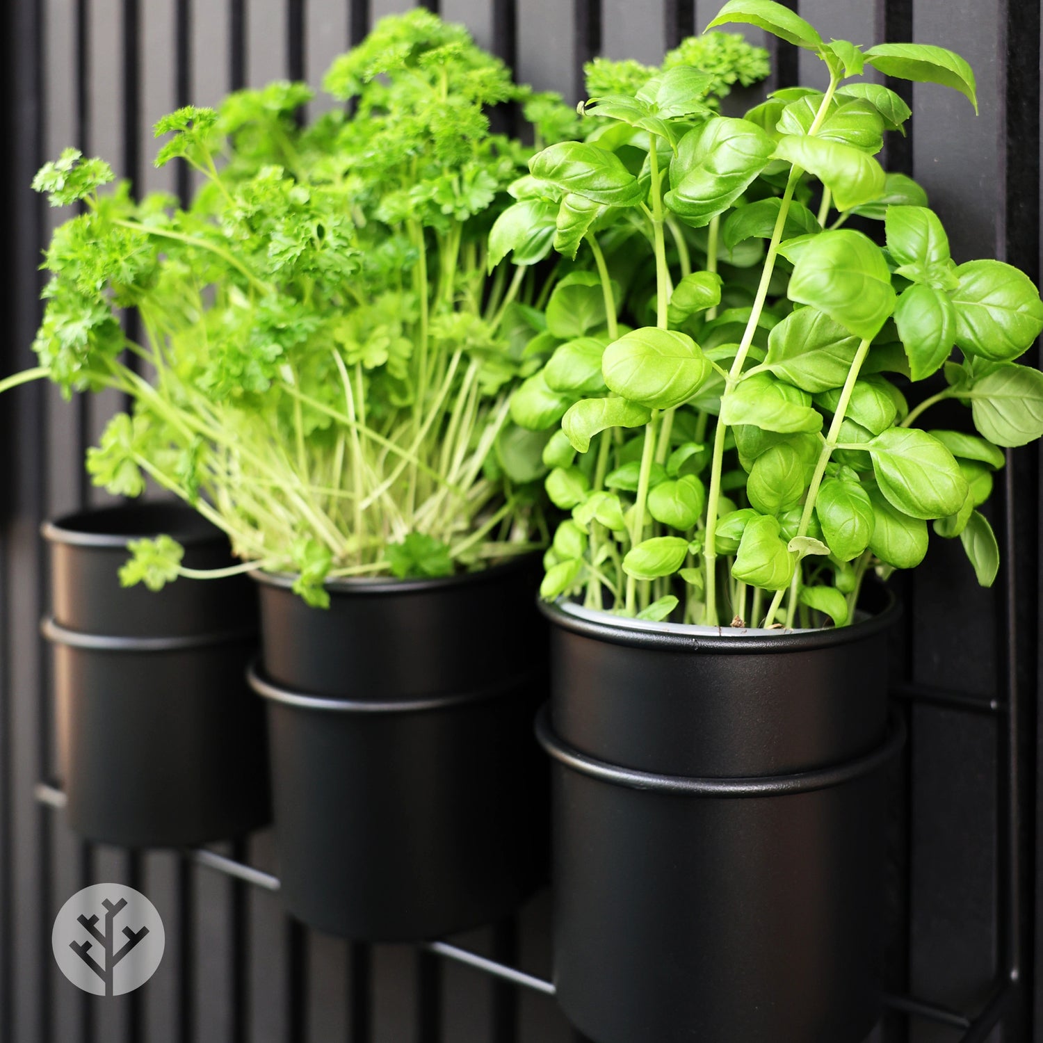 Three Storage Cups | Panel Accessories by Acupanel®