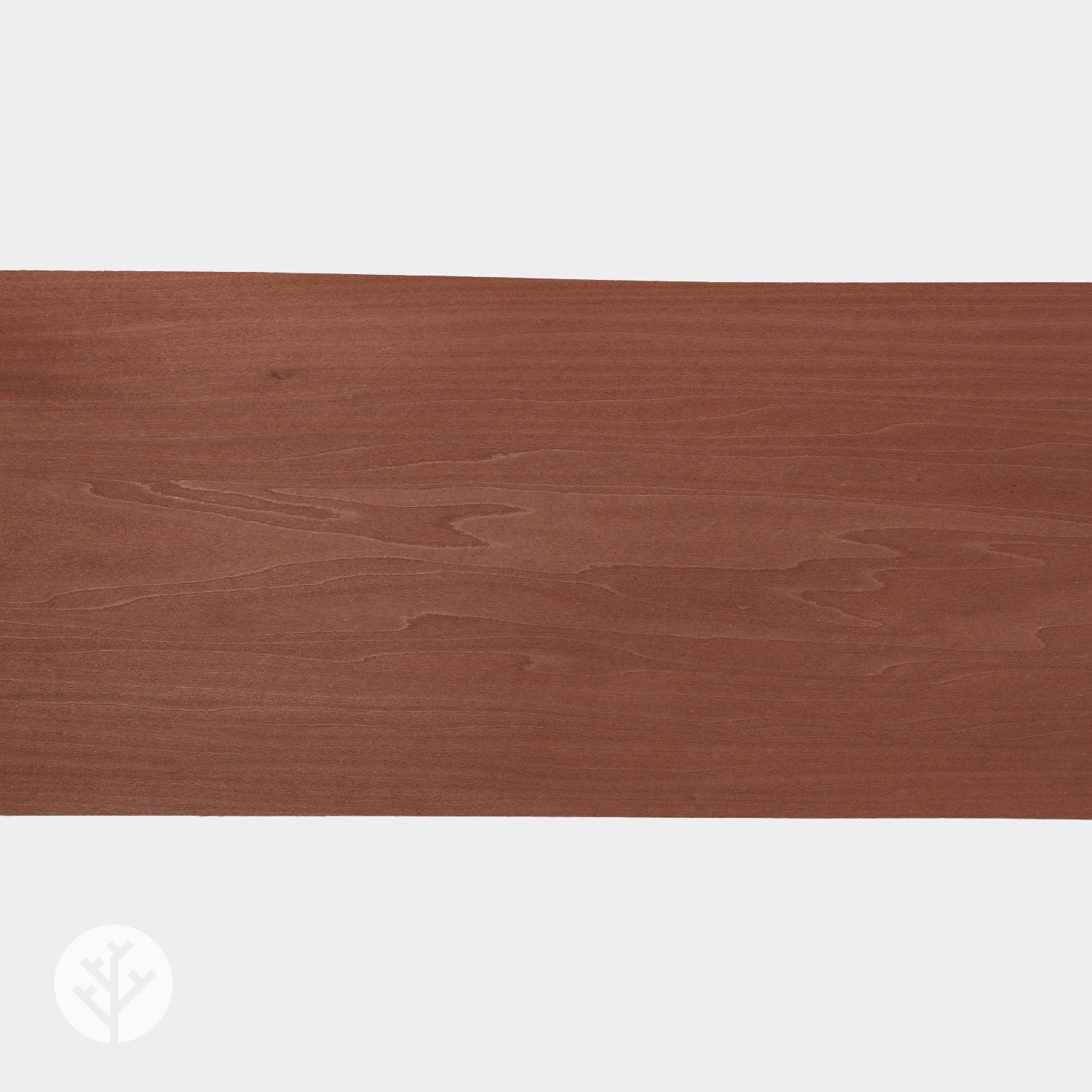 Light Brown Tulipwood Coloured Wood Veneer