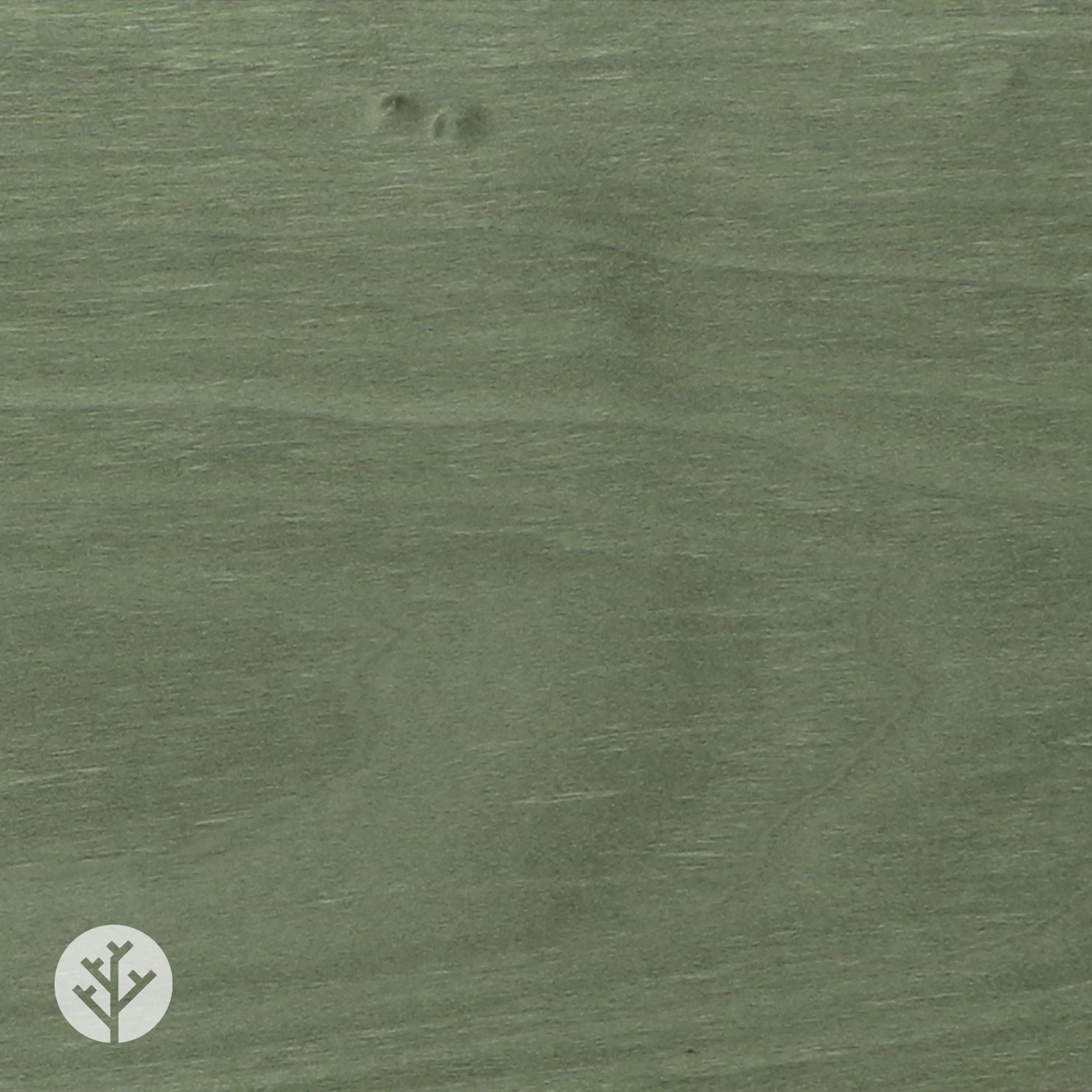 Pear Green Tulipwood Coloured Wood Veneer