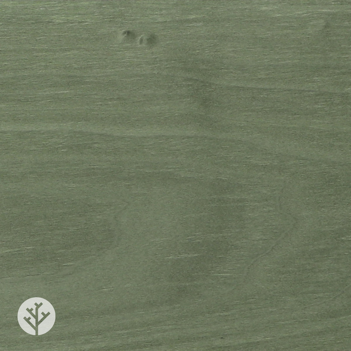 Pear Green Tulipwood Coloured Wood Veneer
