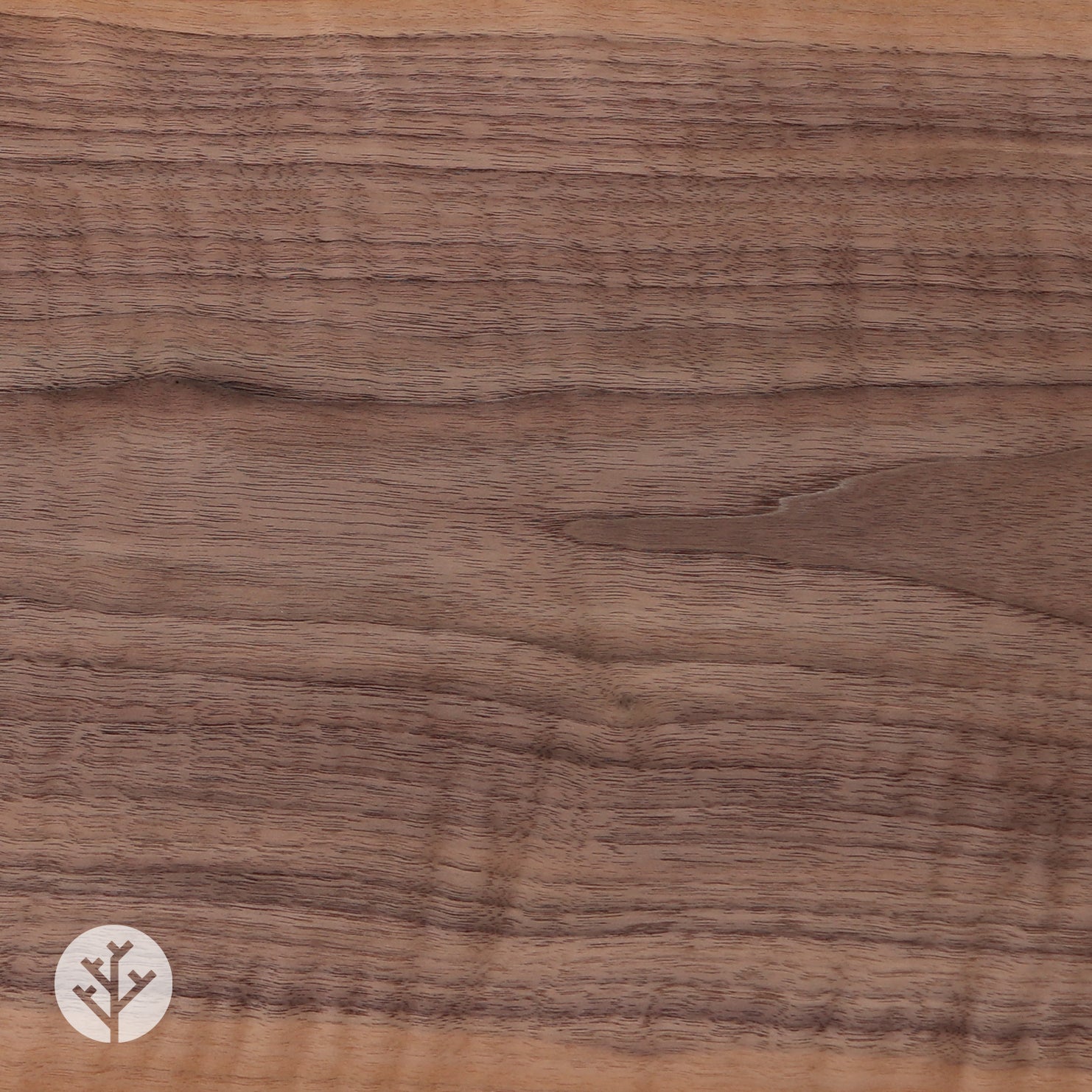 Figured American Walnut Wood Veneer