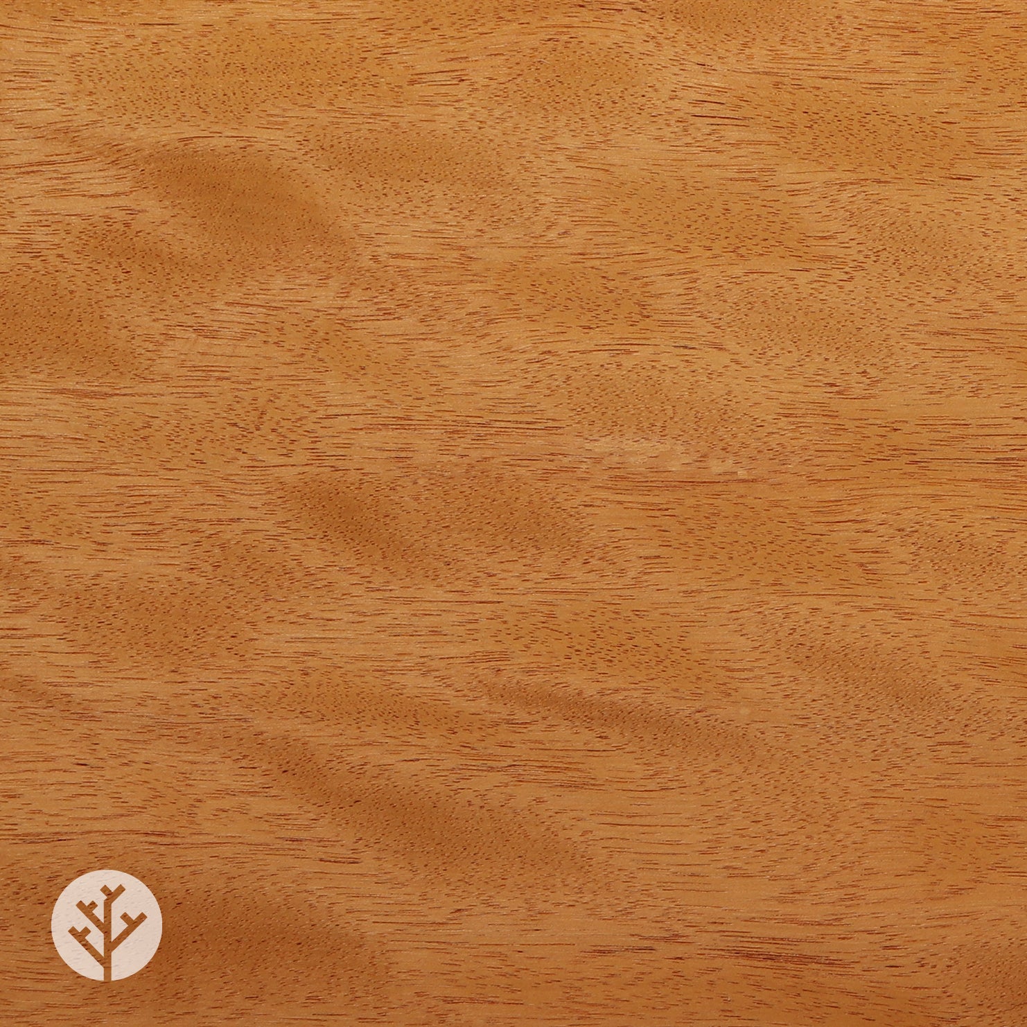 Figured Movingui Wood Veneer